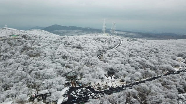 韩国济州岛，Hallasan山/ Seogwipo-si, 1100 Goji(1100高地)冬季雪景视频素材