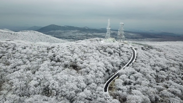 韩国济州岛，Hallasan山/ Seogwipo-si, 1100 Goji(1100高地)冬季雪景视频素材