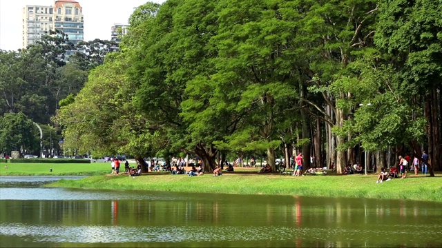 人们在ibirapuera公园享受阳光灿烂的一天视频素材