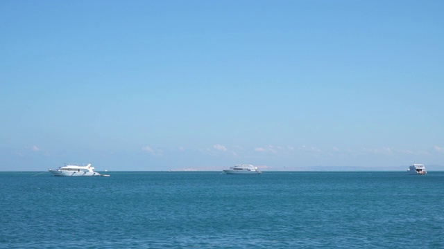 游艇停泊在海上。埃及的红海。视频素材