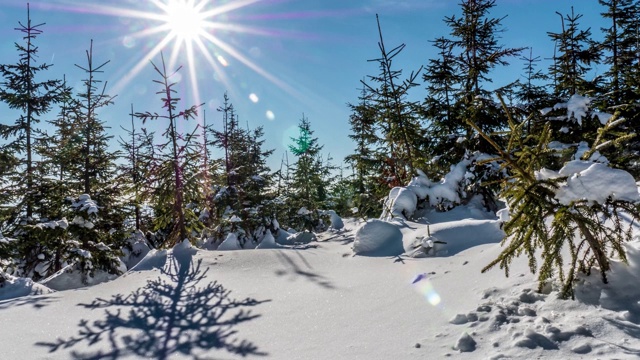 冬季全景阳光多雪时间间隔4k视频素材