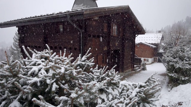 农村下大雪。雪花落在云杉的树枝上，背景是一座美丽的木屋视频素材