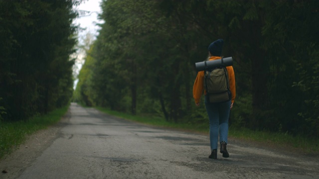 慢镜头:一名年轻女子在秋天的森林里徒步旅行。积极健康的白种女性背着背包，拿着木头。女性旅行者与徒步森林后视图，休闲，生物旅游，徒步旅行视频素材