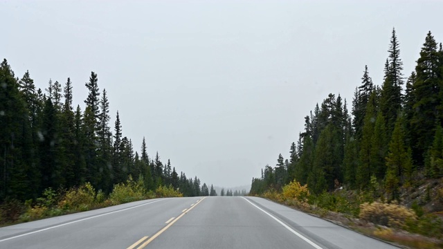 司机在班夫国家公园的高速公路上看到了秋天的松林和落基山脉视频素材