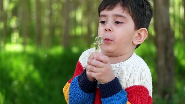 孩子在吹蒲公英视频素材