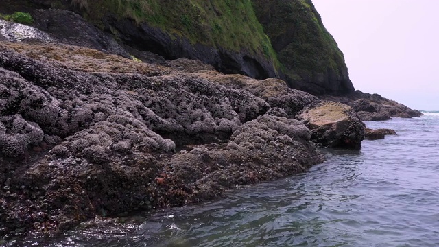 沿着岩石飞行可以在岸上观察海星视频素材