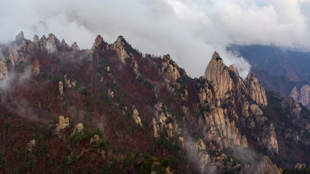 山视频下载