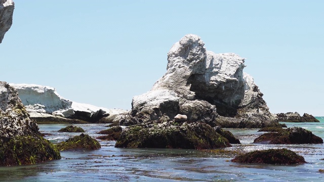 海洋中的岩石峭壁和拱门。贝壳海滩，加州海岸线视频素材