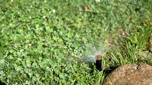 用现代喷头自动浇草视频素材