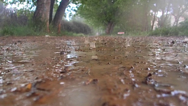 雨视频下载