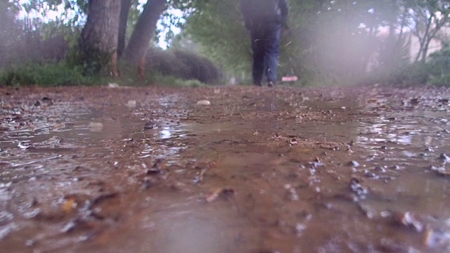 雨视频素材