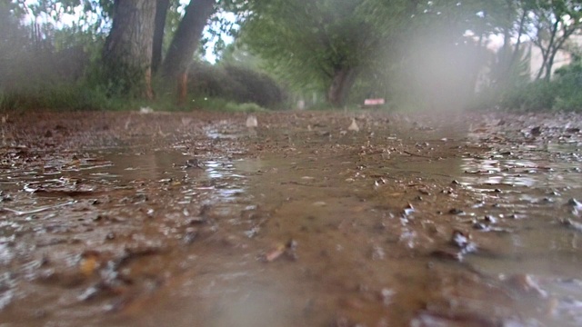 雨视频下载