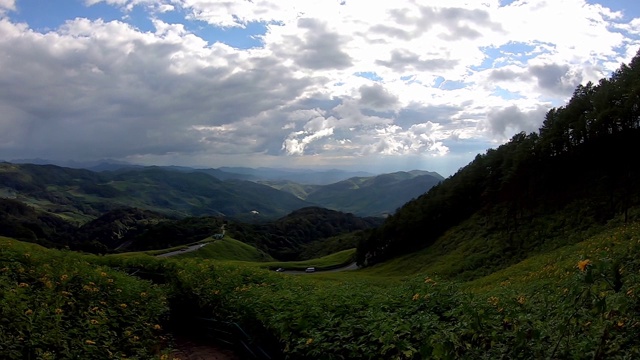 视频从右边移动到左边的黄花田或Tithonia多样化(Hemsl)。A.Gray。在山的背景美丽的云在天空和道路在Doi Mae Ukho, Mae视频素材