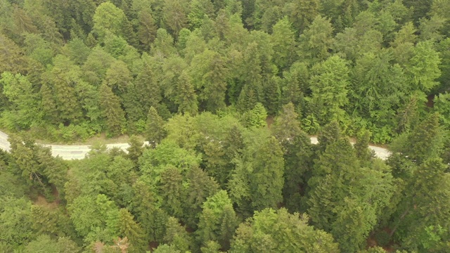 山路视频素材