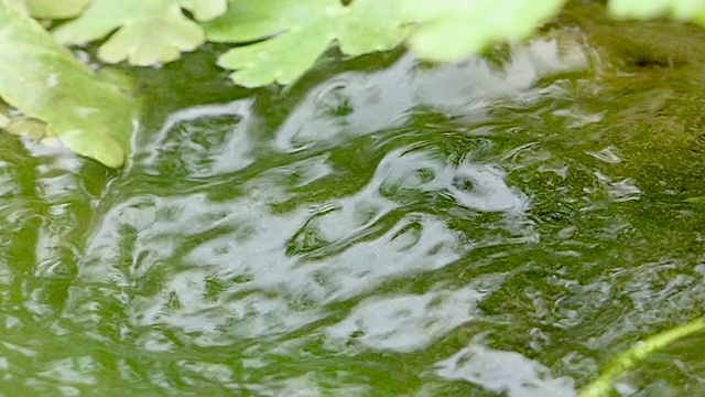 森林河流或湖泊的地表水背景。平静放松的背景。河近丰清溪。清水慢动作中的光反射。惊人的波浪在河面荡漾。视频素材