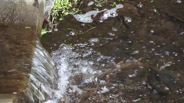 城市的排水管道视频素材