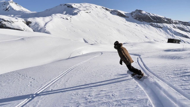 滑雪板女孩粉末Backcountry 4k视频下载