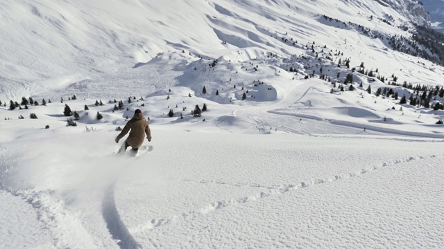 滑雪板女孩雪粉Backcountry 4k视频下载