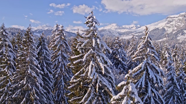 瑞士冬季森林山景城视频素材