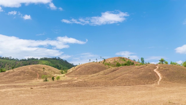 泰国拉廊风景区的金草或秃山山;放大-时间流逝视频素材