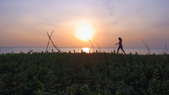 轮廓的健康女人跑步者在户外日出。视频下载