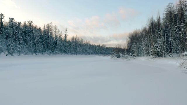 西伯利亚冰雪皑皑的冬季森林景观。俄罗斯4 k。视频素材