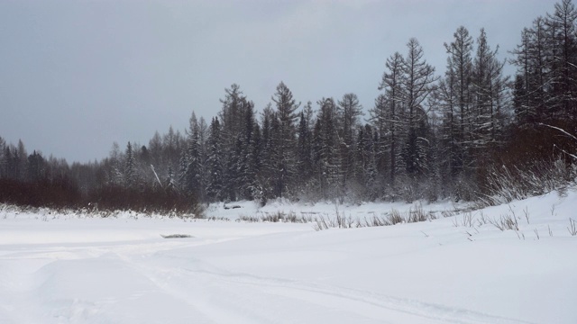 冬天的风景。雪落在白雪覆盖的混合森林里。西伯利亚的性质。俄罗斯4 k。视频素材