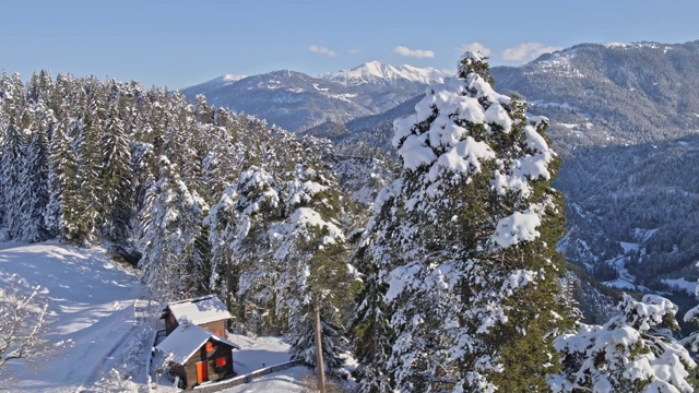 冬季全景树雪景视频素材