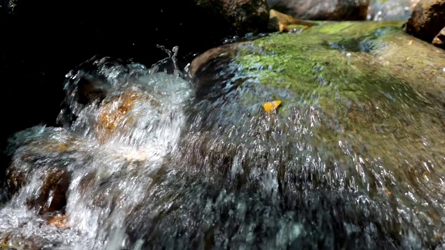 阳光洒落在小溪上，清澈的河水从石头上流过视频素材