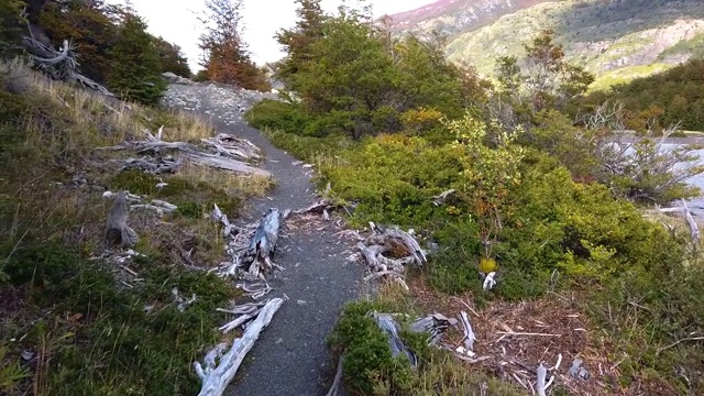 巴塔哥尼亚美丽的自然风光。徒步登山，智利徒步，巴塔哥尼亚徒步视频素材