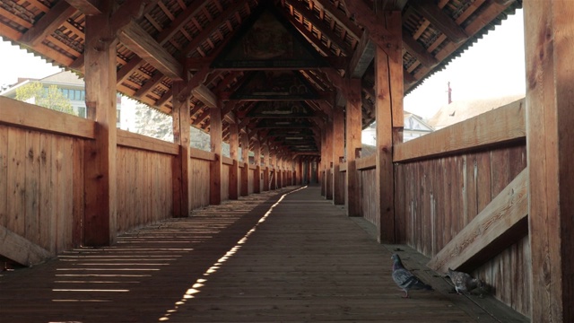 空鸽子Kapelbrücke，卢塞恩- 4K视频素材