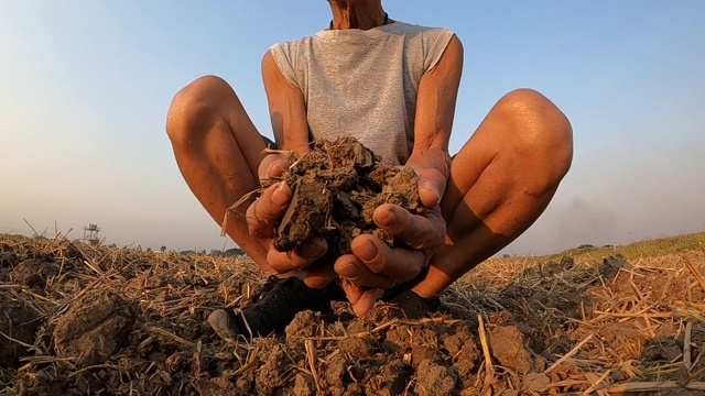 年长者在田间手持土壤，在耕种前检查土壤质量。视频素材