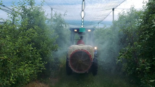 拖拉机在苹果园喷洒杀虫剂或杀菌剂-拖拉机后喷雾视频素材