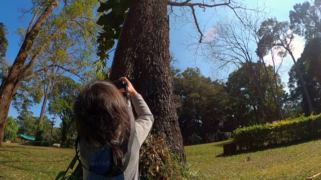 亚洲女孩带着相机在自然领域。一位年轻的女摄影师在公园里为一棵树拍照。技术和教育的概念，了解自然。视频素材