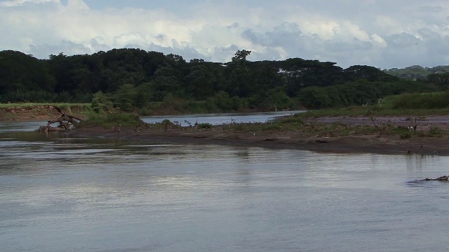 哥斯达黎加运河视频素材
