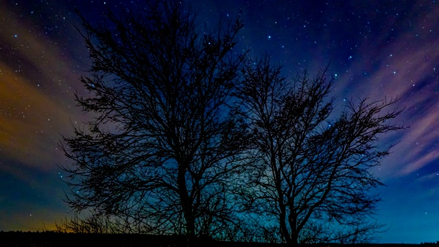 在一棵树的映衬下，夜空中星星的运动，美丽的夜景，时间流逝，4k视频素材