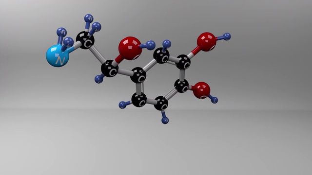 去甲肾上腺素分子。视频素材