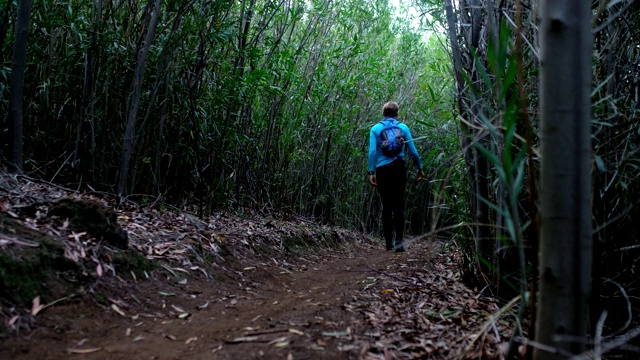 健康的女人喜欢沿着森林小径徒步旅行视频素材