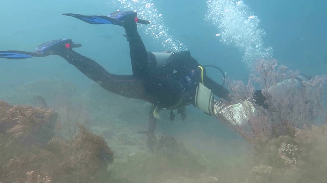 一对夫妇在浑浊的水中潜水。视频素材