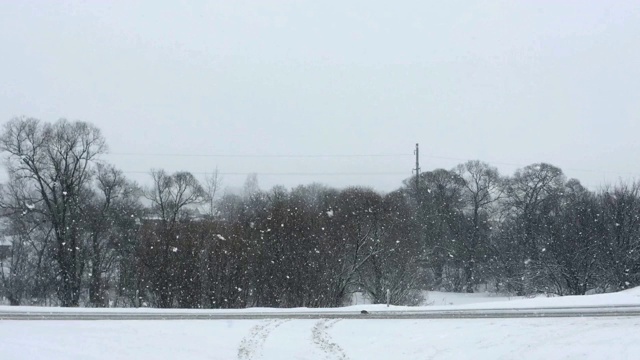 在一个树木被雪覆盖的冬季公园里飘落的雪花视频素材