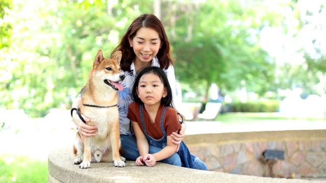 春天的时候，妈妈和女儿们在公园里和日本柴犬玩耍。视频素材