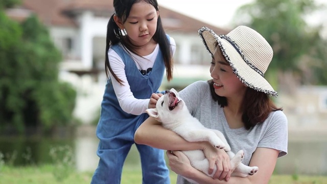 宠物情人。亚洲妇女抱着白色柴犬或北海道犬在公园里。夏天，妈妈和女儿们在公园里和日本柴犬玩耍。视频素材