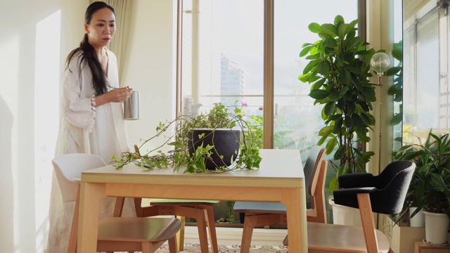 一个女人在她的起居室里照料装饰性的植物视频素材