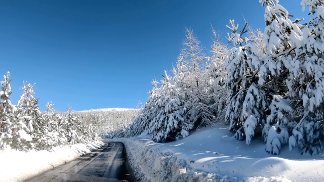 驾车行驶在绿树成荫的山路上，令人惊叹的冬季风景视频素材