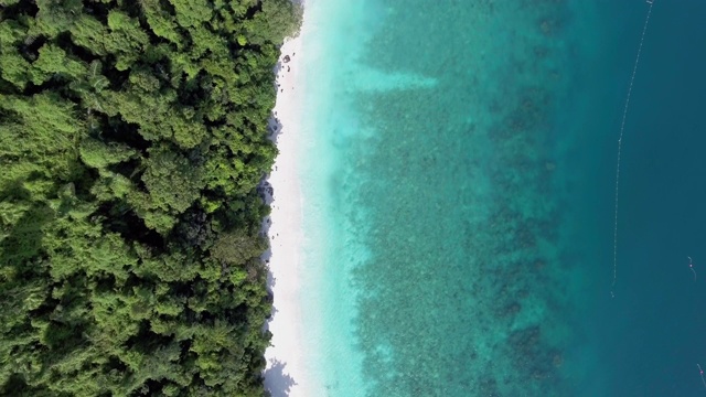 鸟瞰热带海滩视频素材