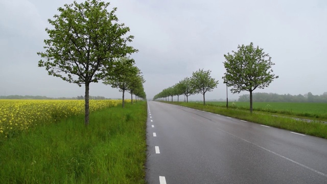 瑞典农田间的乡间公路视频素材