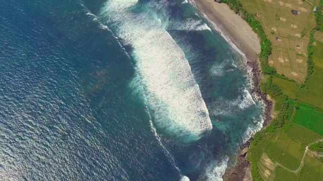 夏天碧波荡漾的大海和碧绿的稻田，风景如画视频素材