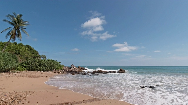 田园般的热带海滩，海浪和棕榈树视频素材