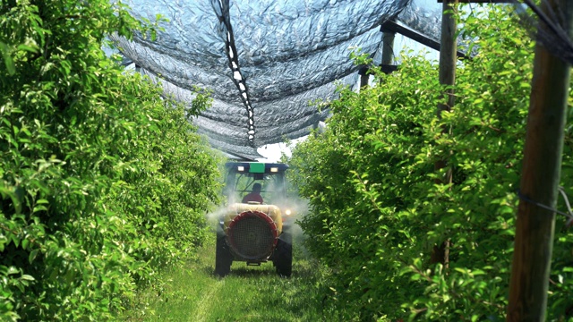 拖拉机在覆盖着防冰雹网的苹果园喷洒杀虫剂或杀菌剂视频素材