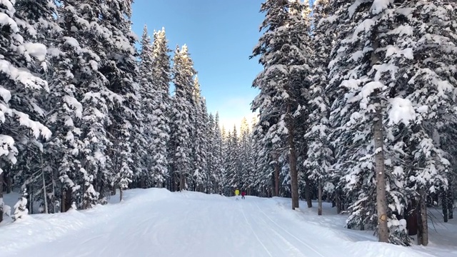 美国科罗拉多州滑雪者的视点小径视频素材